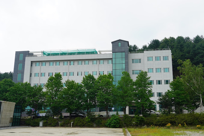 Lựa Chọn Trường và Ngành Học tại Hàn Quốc