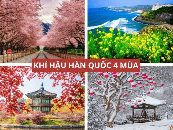 Du học sinh cần hích nghi với khí hậu Hàn Quốc, đặc biệt là mùa đông 