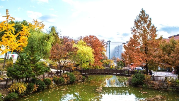 Đại học Seoul Sirip 2