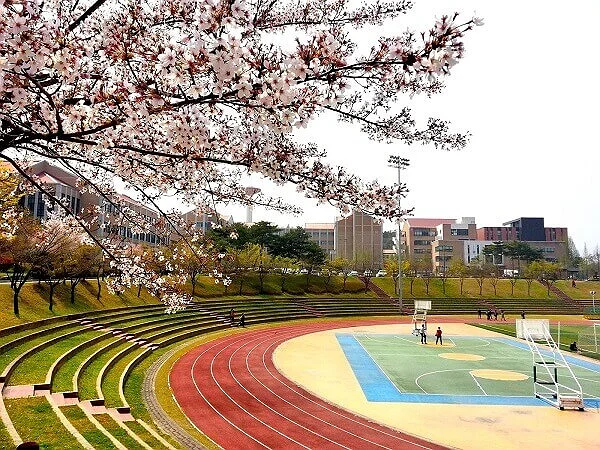 Tuyển sinh Thạc sĩ Đại học Mokwon ngành Quản trị Thương mại Quốc tế kỳ tháng 3/2027